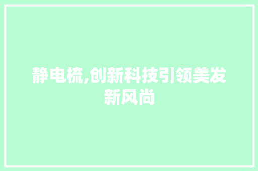 静电梳,创新科技引领美发新风尚