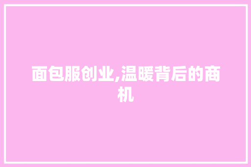 面包服创业,温暖背后的商机