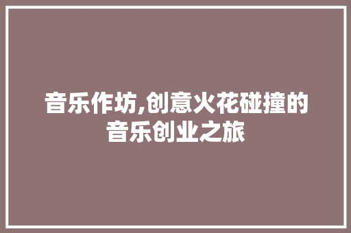 音乐作坊,创意火花碰撞的音乐创业之旅
