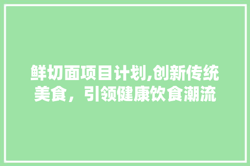 鲜切面项目计划,创新传统美食，引领健康饮食潮流