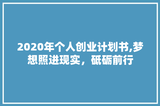 2020年个人创业计划书,梦想照进现实，砥砺前行