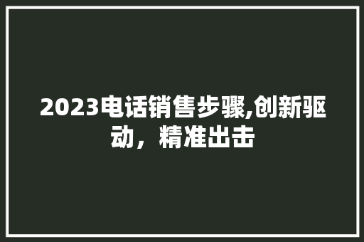 2023电话销售步骤,创新驱动，精准出击 演讲稿