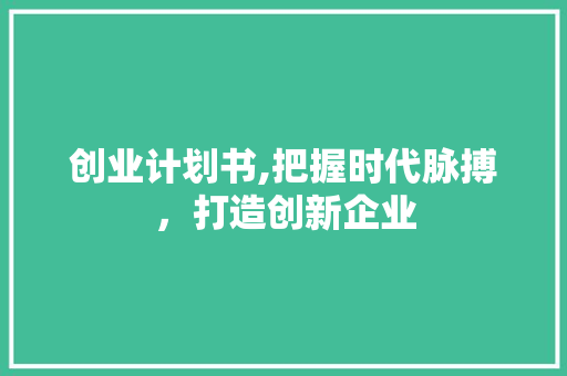 创业计划书,把握时代脉搏，打造创新企业