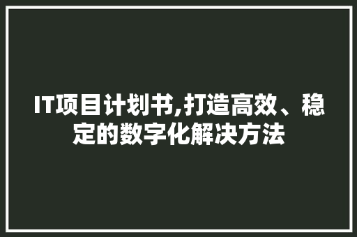 IT项目计划书,打造高效、稳定的数字化解决方法
