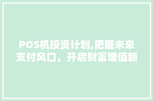 POS机投资计划,把握未来支付风口，开启财富增值新篇章 成语大全