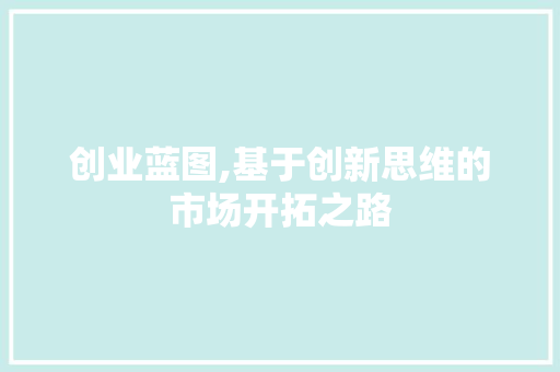 创业蓝图,基于创新思维的市场开拓之路