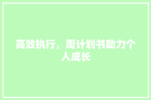 高效执行，周计划书助力个人成长