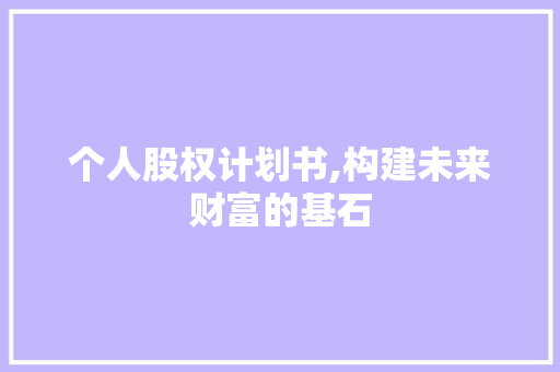个人股权计划书,构建未来财富的基石