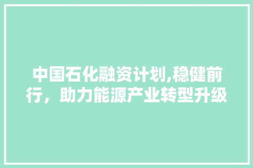 中国石化融资计划,稳健前行，助力能源产业转型升级