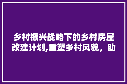 乡村振兴战略下的乡村房屋改建计划,重塑乡村风貌，助力美好生活