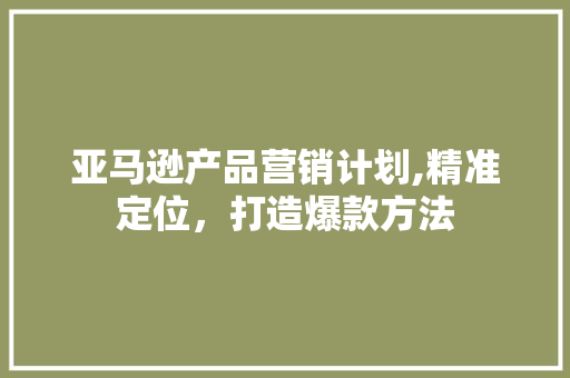 亚马逊产品营销计划,精准定位，打造爆款方法