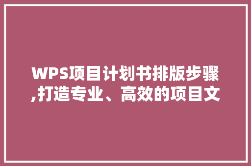 WPS项目计划书排版步骤,打造专业、高效的项目文档