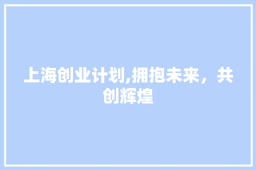 上海创业计划,拥抱未来，共创辉煌