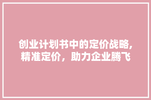 创业计划书中的定价战略,精准定价，助力企业腾飞 国学经典