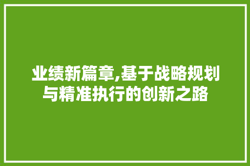 业绩新篇章,基于战略规划与精准执行的创新之路