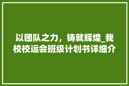 以团队之力，铸就辉煌_我校校运会班级计划书详细介绍