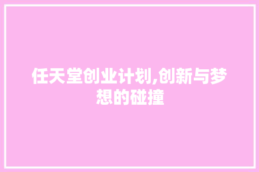 任天堂创业计划,创新与梦想的碰撞