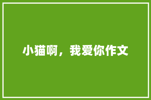 企业创新计划,引领未来发展的关键引擎