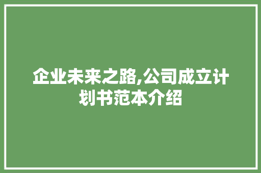企业未来之路,公司成立计划书范本介绍