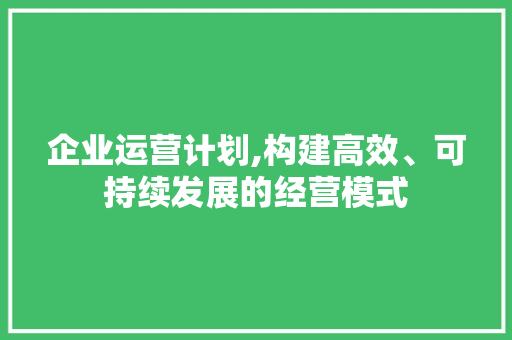 企业运营计划,构建高效、可持续发展的经营模式