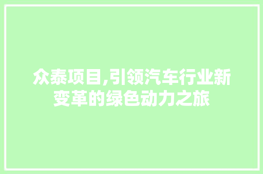众泰项目,引领汽车行业新变革的绿色动力之旅