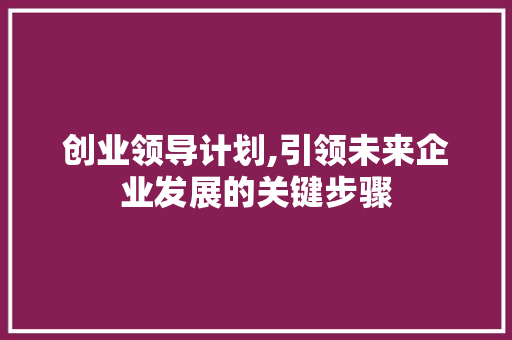 创业领导计划,引领未来企业发展的关键步骤
