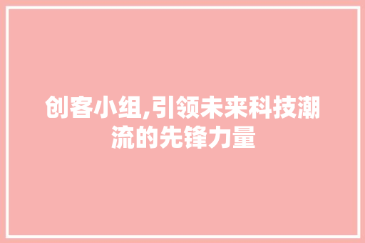 创客小组,引领未来科技潮流的先锋力量