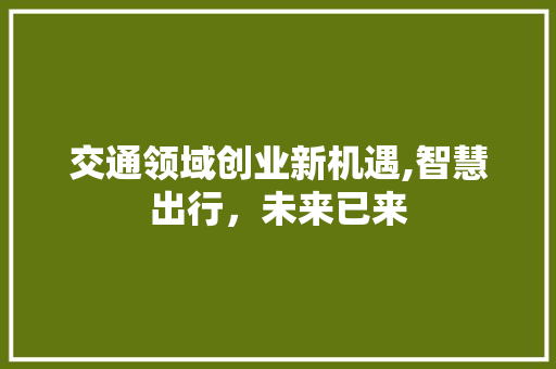 交通领域创业新机遇,智慧出行，未来已来