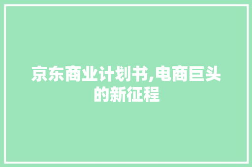 京东商业计划书,电商巨头的新征程