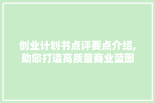 创业计划书点评要点介绍,助您打造高质量商业蓝图