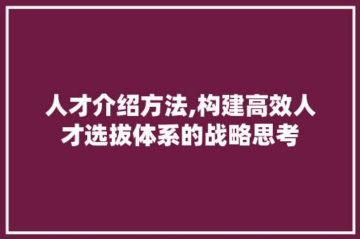 人才介绍方法,构建高效人才选拔体系的战略思考