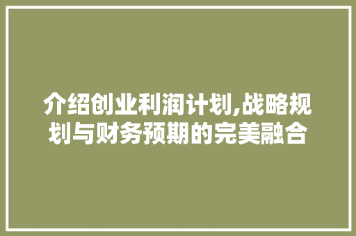 介绍创业利润计划,战略规划与财务预期的完美融合
