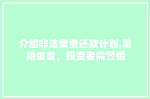 介绍非法集资还款计划,陷阱重重，投资者需警惕