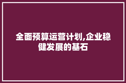 全面预算运营计划,企业稳健发展的基石