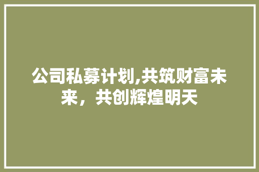 公司私募计划,共筑财富未来，共创辉煌明天
