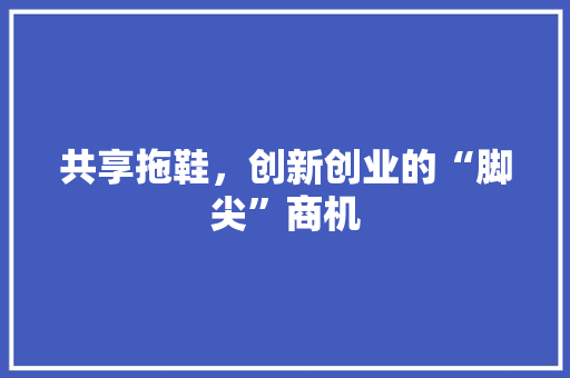 共享拖鞋，创新创业的“脚尖”商机