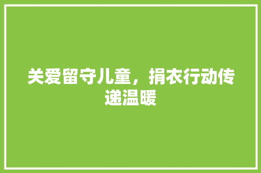 关爱留守儿童，捐衣行动传递温暖 成语大全