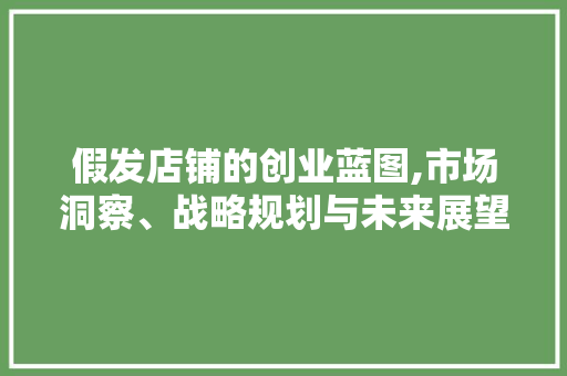 假发店铺的创业蓝图,市场洞察、战略规划与未来展望