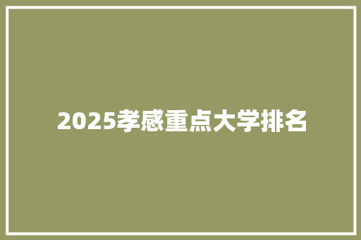 2025孝感重点大学排名