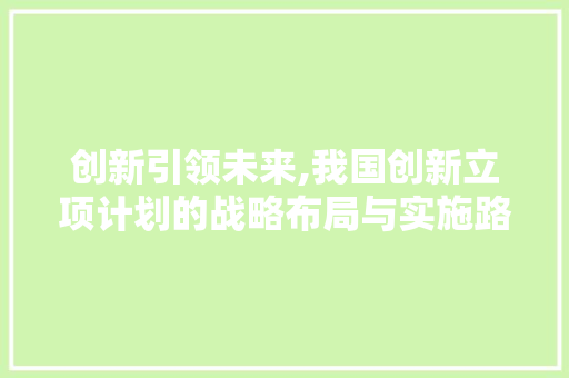 创新引领未来,我国创新立项计划的战略布局与实施路径 工作总结