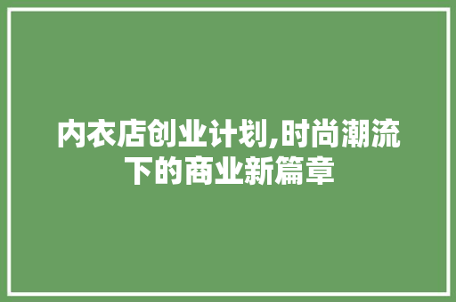 内衣店创业计划,时尚潮流下的商业新篇章