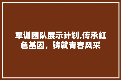 军训团队展示计划,传承红色基因，铸就青春风采