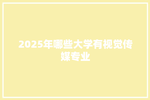 2025年哪些大学有视觉传媒专业