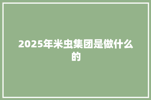2025年米虫集团是做什么的