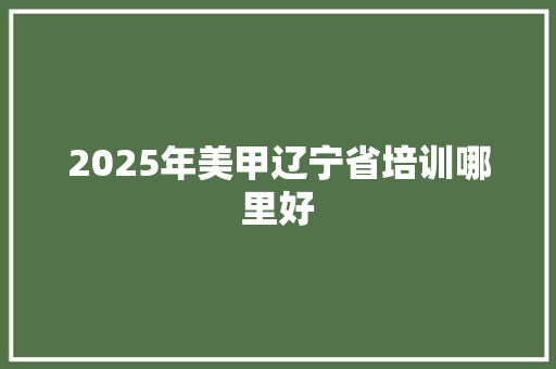 2025年美甲辽宁省培训哪里好