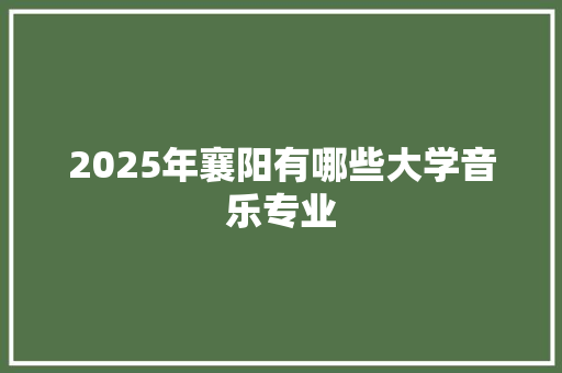 2025年襄阳有哪些大学音乐专业
