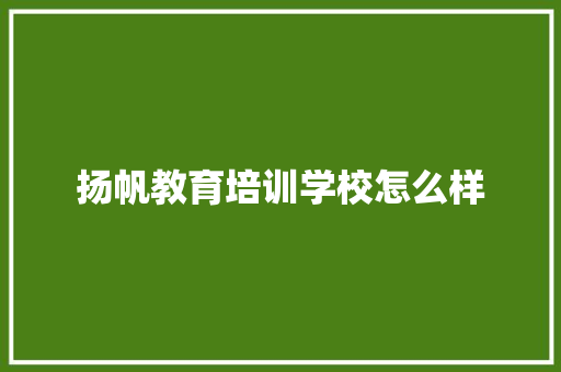 扬帆教育培训学校怎么样