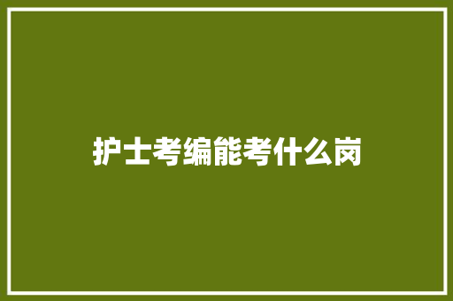 护士考编能考什么岗