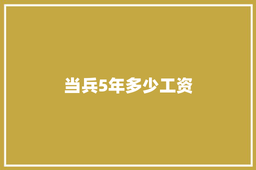 当兵5年多少工资