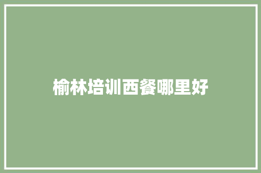 榆林培训西餐哪里好